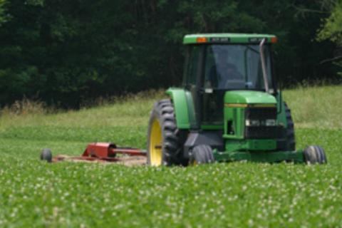 News & Tips: Taking Care of Your Food Plots