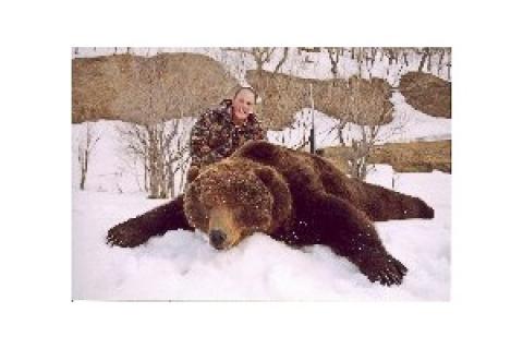 News & Tips: Alaska's Giant Brown Bears
