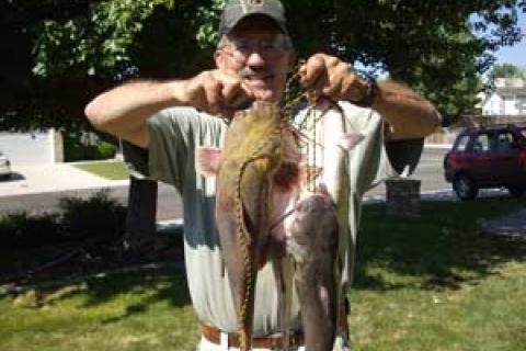 Catching Louisiana Summer Bluegill and Catfish - Catching Catfish on Limb  Lines 