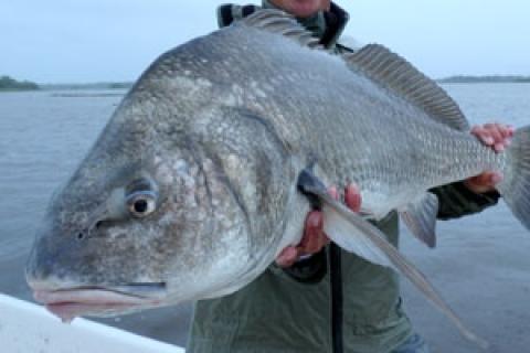 Crystal River, Florida | Bass ProCrystal River, Florida | Bass Pro  