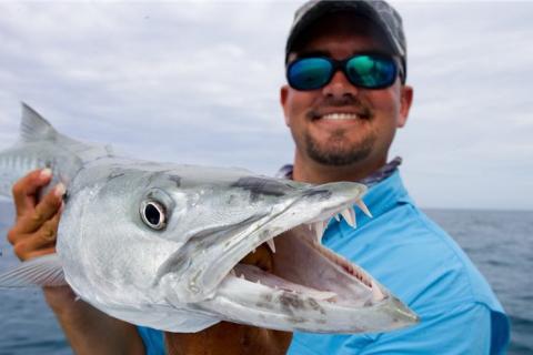 Barracuda Fishing Tips and Tactics