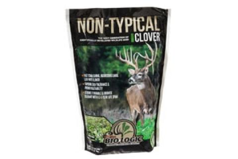 News & Tips: The Hype Around Non-Typical Clover Seed...