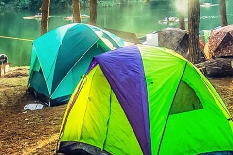 Group camping area with many tents