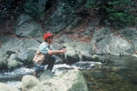 News & Tips: Headwater Brook Trout