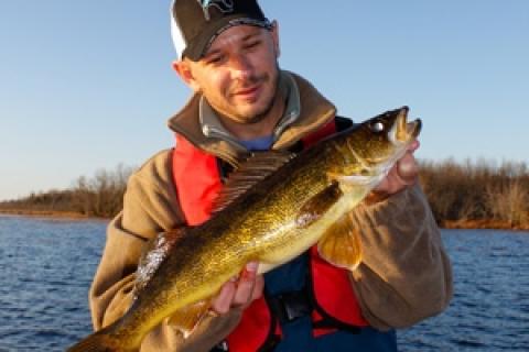 News & Tips: Feast on Fall Walleye