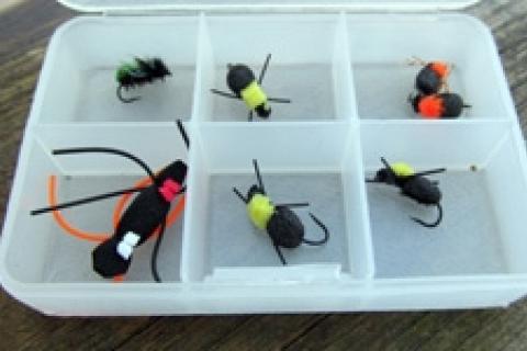 News & Tips: Ant Flies for Trout