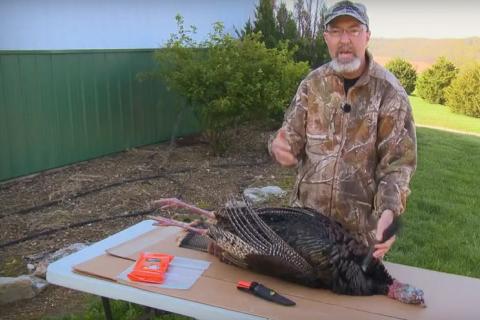 News & Tips: How to Remove Wild Turkey Breast Meat (video)...