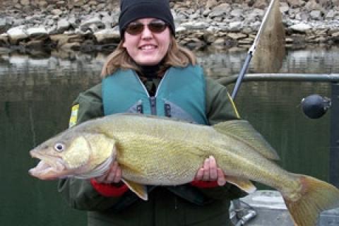 News & Tips: How to Catch Monster Walleye in the South...
