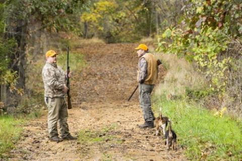 Two rabbit hunters walking a trail