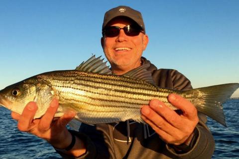 News & Tips: A Guide to Striped Bass Fishing on a Bucktail Jig Lure...