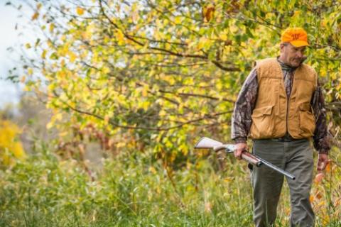 News & Tips: 12 Tips for Solo Rabbit Hunting Success...