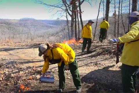 News & Tips: Deer Management: A Late Winter Prescribed Fire for Better Hunting  (video)...