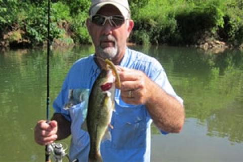 News & Tips: 3 Tips to Summer Wade Fishing Ozark Streams...