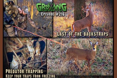News & Tips: Bow Hunting in the Late Season: 2 Doe Kills Mean Venison for the Freezer!...