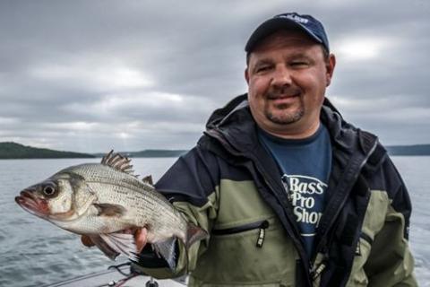 News & Tips: Fishing White Bass During the Spring Run, When & How These Fish Spawn...
