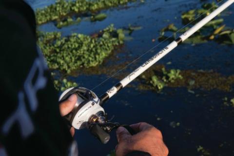 What Rods Should Every Largemouth Angler Have? : r/Fishing_Gear