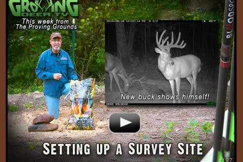 News & Tips: Why & How to use Trail Cameras for a Deer Survey...