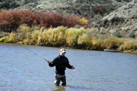 News & Tips: Fall's Fly Fishing Frenzy