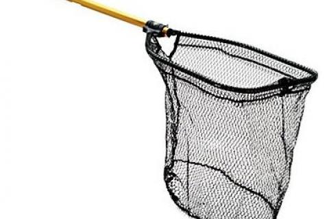 News & Tips: A Fishing Pro's Lesson on the Subject of Netting Fish...