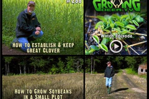 News & Tips: The Best Food Plot Strategies: Learning From Experience (video)...