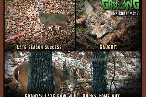 News & Tips: Bow Hunting: Shooting Deer, That's Why We're Here!...
