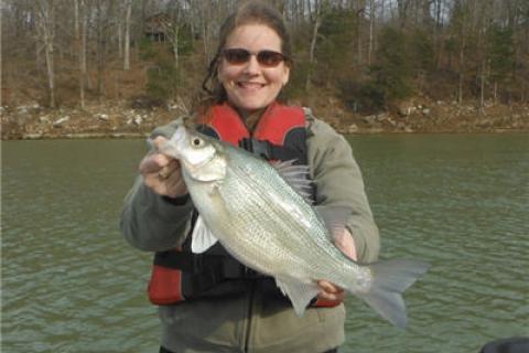 News & Tips: White Bass - Fishing Tip