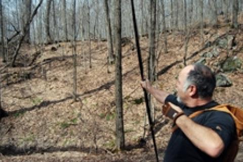 News & Tips: Traditional Archery: The One Arrow Advantage...