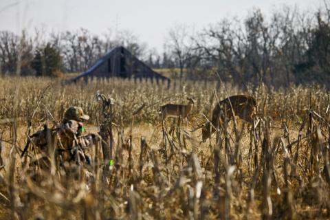 News & Tips: 7 Ways to Keep a Landowner Happy When Hunting on Private Land...