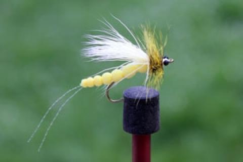 News & Tips: 3 Tips for Tying Hexagenia Fly Patterns...