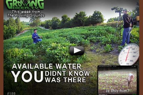 News & Tips: Food Plot Tips for Hot Temperatures