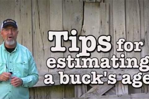 News & Tips: 10 Tips to Quickly Age Bucks Plus Food Plot and Habitat Help  (video)...