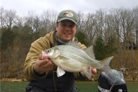 News & Tips: White Bass Spring Spawn Fishing Tip
