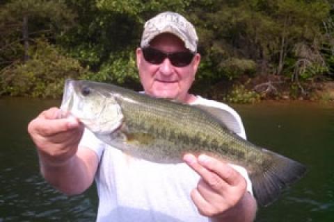 News & Tips: Coax Largemouth Bass From Weedbeds With Soft Jerkbaits...