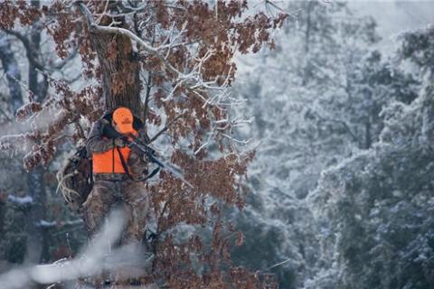 News & Tips: Stay Put in Your Treestand with These 5 Tips...