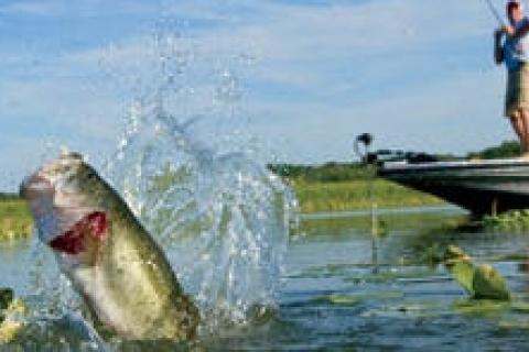 Unlocking the Secrets of the 3 Rod Bass Fishing System: Elevate