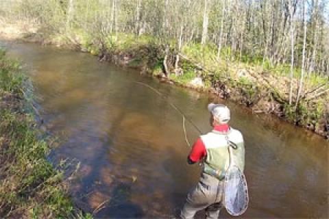News & Tips: How to Make the False Cast in Fly Fishing [Video]...