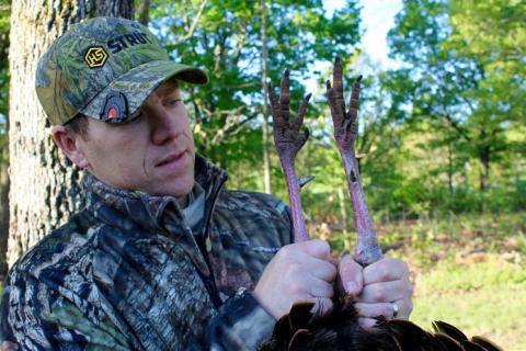 News & Tips: 2 Experts Tell You How to Bow Hunt Turkeys...