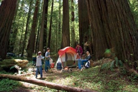 News & Tips: Tips for a Happy, Successful Camping Trip...