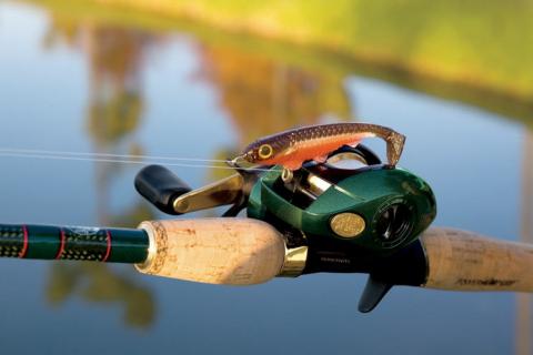 Types of Reels for Fishing