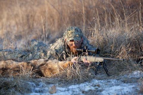 News & Tips: Is There a Perfect Firearm for Predator Hunting? Find Out...
