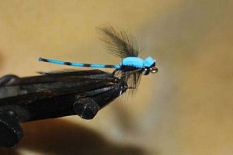 How to Fish the Damsel Dry Fly During Summer Months