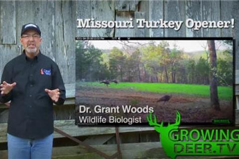 News & Tips: Turkey Hunting on the Move: 2 Gobblers Killed (video)...