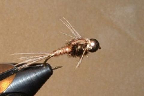 News & Tips: How to Tie the Beadhead Pheasant Tail Nymph in 14 Steps...