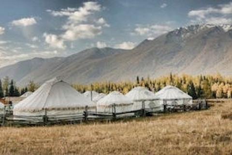 News & Tips: Yurt Camping 101