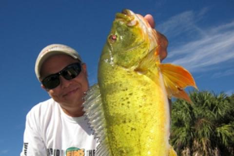 News & Tips: Travel Blog: Miami Peacock Bass Fishery...