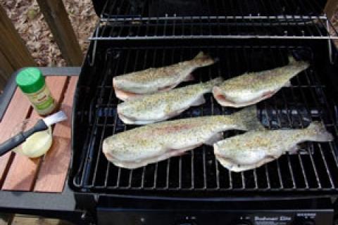 News & Tips: Tips and Recipes for Grilling Fish