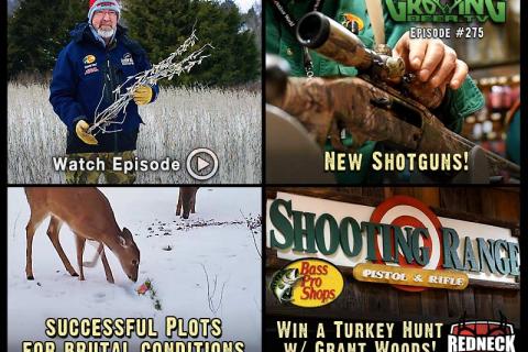 News & Tips: Winter Food Plot Combinations That Work for Whitetails (video)...