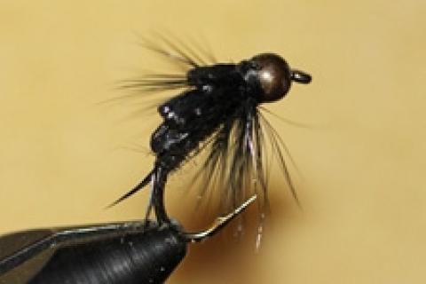 Early Season Fly Selection: Stoneflies