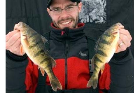 How to catch more perch Ice fishing. #fishing #tips #