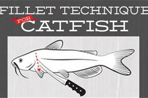 FILLET GLOVE  Catfish Connection